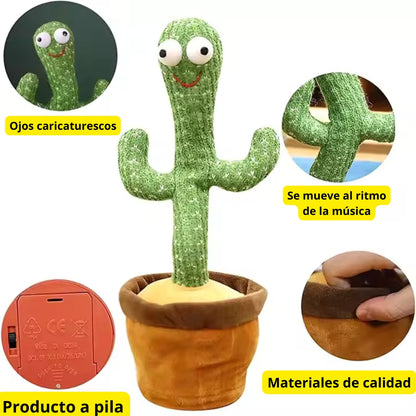 Cactus Bailarín RENOVA